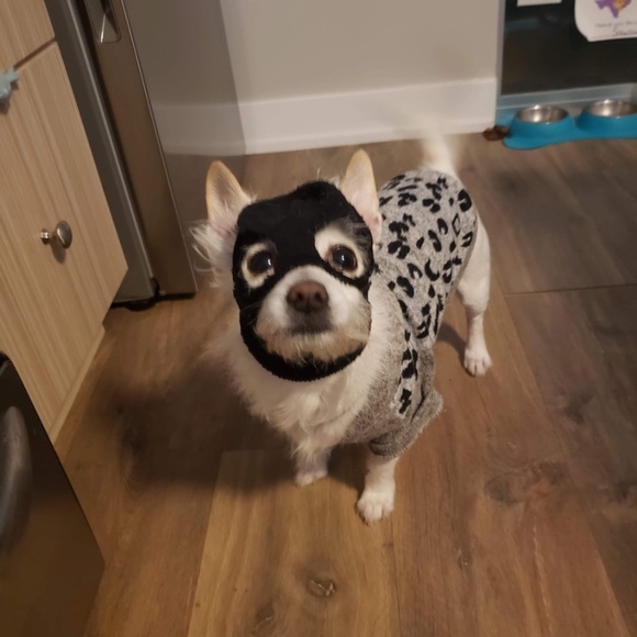 Meet your Posher, Patrickk - Picture 2 of 2